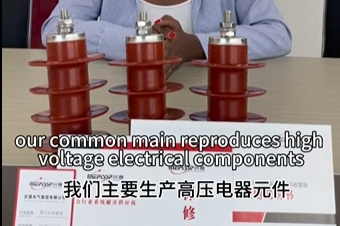 Minsai Electric mainly produces high-voltage electrical components