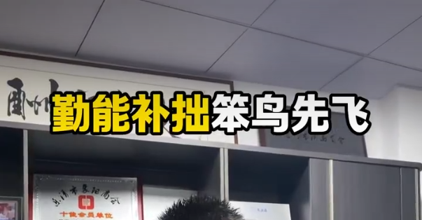 Diligence can make up for clumsiness. The early bird catches the worm.