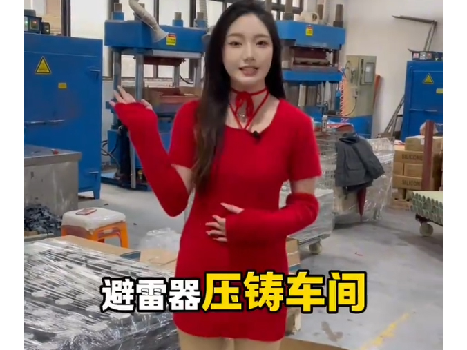 Take you to visit the arrester die-casting workshop