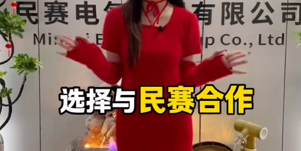 Nine reasons to cooperate with Minsai Electric