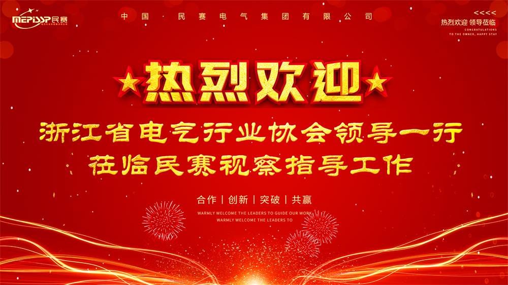 Warmly welcome the leaders of Zhejiang Electric Industry Association to visit Minhan to inspect and guide the work